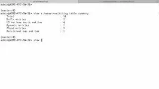 Juniper EX Switch MAC Address Table Overflow Attack
