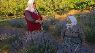 gönlünüzde çiçekler açsın sonbahar hiç uğramasın selam size