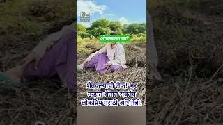 शेतकऱ्याची लेक! भर उन्हात शेतात राबतेय लोकप्रिय मराठी अभिनेत्री marathi actress working in farm