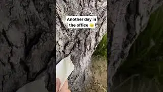 Natural Paper Texture Overlays Tutorial  #visualtimmy #procreate #photoshop