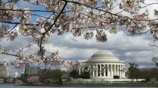 An Easy Evening In Washington DC, USA