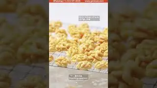 G-WINSUN Brand Promotion Video