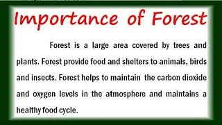 Importance of forest essay in English essay / speech on importance of forest in English Essay forest