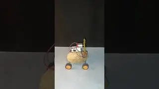 🥥 Coconut Shell Car That Really Moves! | Super Cool DIY Science Project 🚗💨