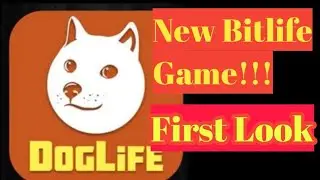New Bitlife Game!!!!/
