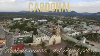 Cardonal