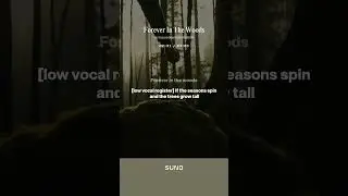 Forever In The Woods
