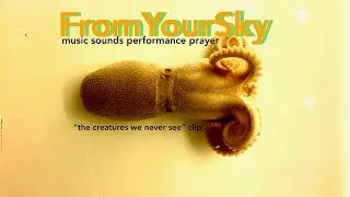 FromYourSky Live clip from 