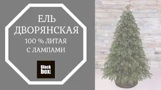 Black Box - Обзор искусственной ели Дворянская 100% литая с лампами зеленая