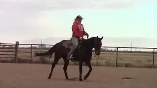 CD Royal 2015 Bay mare - *SOLD and IA bound* BARREL FUTURITY PROSPECT!!!