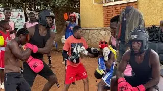 Alien skin bekubye nakubawo omutwe Ibra kabadiya obusungu