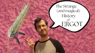 The Strange and Magical History of Ergot