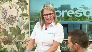 Flu Vaccination Season (MEDIRITE)