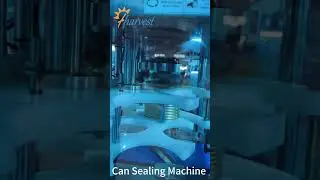 Automatic Can Sealing Machine for 603#, Can Seaming Machine Manufacture, Can Sealer  #machine(2025)