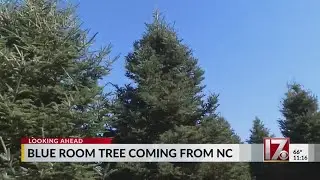 Christmas tree will be chosen from NC farm for White House this year