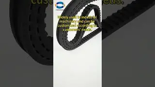 Trust me, this belt will help you a lot.