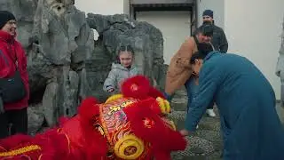 Lunar New Year 2025: Year of the Snake Festival Highlights