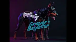 KrawallBeats - Grauer Begleiter 