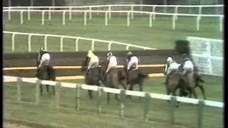 1973 Cheltenham Gold Cup Chase