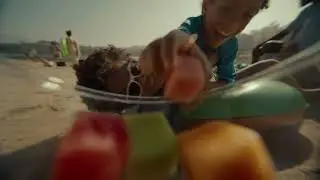 Sincerely, Fresh Cut Fruit Bowl