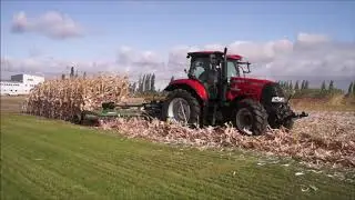 Подрібнення кукурудзи висотою 2,5 метри Land Pride RMC5615 Puma 155 (Shredding corn stubbles 2.5 m)