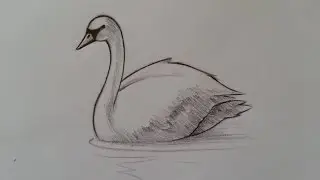 كيف أرسم إوزة بطريقة سهلة جدا