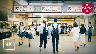 Japan | Walking from 