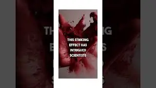 Antarctica's mysterious Blood Falls! The eerie secrets behind🩸 #BloodFalls #naturefacts #antarctica