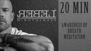 20 Minute Awareness of Breath Meditation - Lucas G. Irwin