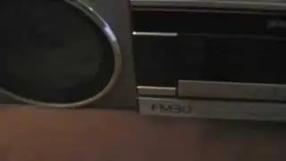 Panasonic FM30