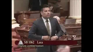 Bullhook: California Senate Passes SB 1062, Elephant Bullhook Ban