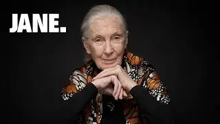 Jane&acute;s Erbe! - Ulrike f&uuml;hrt fort, was Jane Goodall aufgebaut hat.