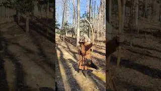 The MOST Bizarre Bow Ever Designed