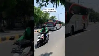 Bus Eka cepat #shorts #shortvideo #bus #ekacepat