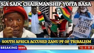 Zanu pf must stop brutality - South Africa - SADC 