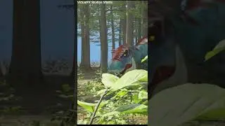 T-Rex Dinosaur Biting Attack Animation In Unreal Engine 5 | #shorts
