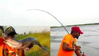 Amazing Hand Fishing Video | Fishing | Snakehead Fish | Best Maral Fishing