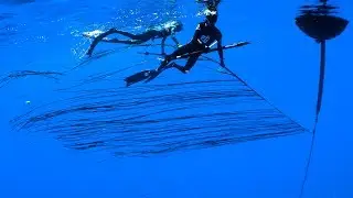 LOOK BEHIND YOU! - Spearfishing Kona, Hawaii | Kona Freedivers
