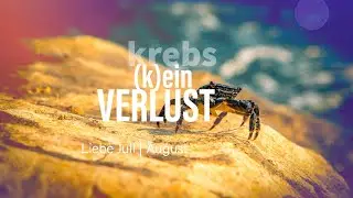 Krebs Liebe Juli | August: (K)ein Verlust💖