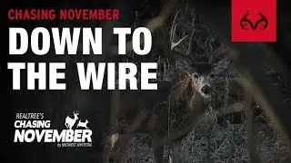 S3E17: Down To The Wire