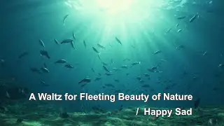 A Waltz for Fleeting Beauty of Nature / Happy Sad