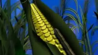 3D Animation For IU Advanced Visualization Lab and LEAD