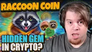 RACCOON Coin | Is This Coin the Hidden Gem of Cryptocurrency?
