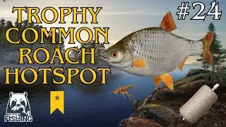 Trophy Common Roach Hotspot Ladoga Lake | Russian Fishing 4 #24 (10/09/2025)