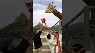 That giraffe is trying to steal your girl, bro 🦒😅