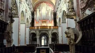 Varhanní koncert ZUŠ Jaroslava Kvapila - Jezuitský kostel Nanebevzetí Panny Marie, Brno