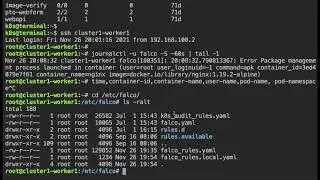 Sysdig falco - Looking at Logs and Changing a Rule