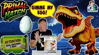 Jurassic World Primal Hatch Real Hatching T-Rex  Hatchimals