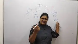 MPJS Exam Over | Now What ? | Your Experience & Marks Expectation | SULC | Urmila Rathi