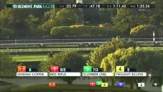 Big Blue Kitten - 2015 Joe Hirsch Turf Classic